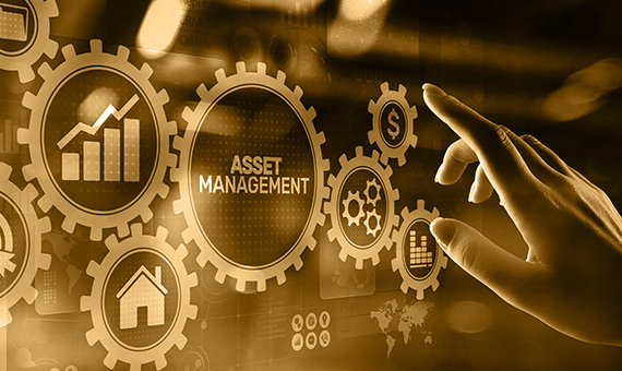 asset-management